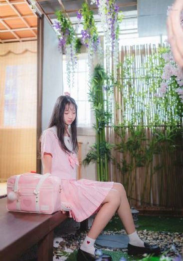 后宫露营免费观看