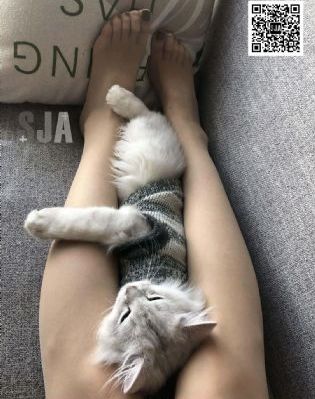 大团圆结2亲情会闪闪发光视频