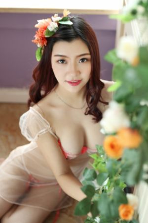 广东卫视今日播出节目