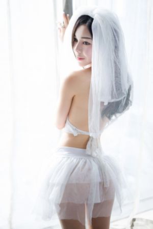 野狼与鸽子