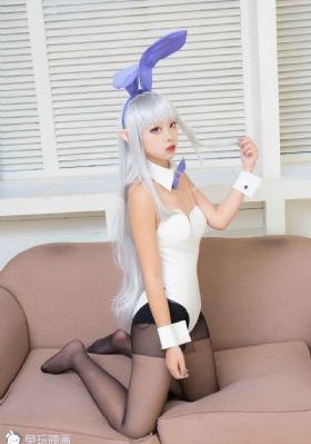 野花香电视剧剧情