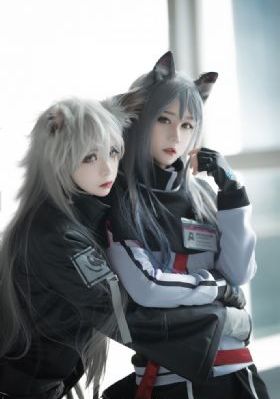 皇家警察实录